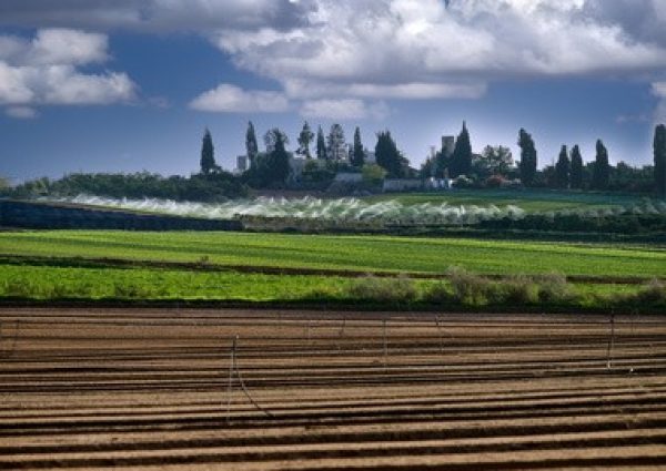 אגודה שיתופית - רשות מקרקעי ישראל